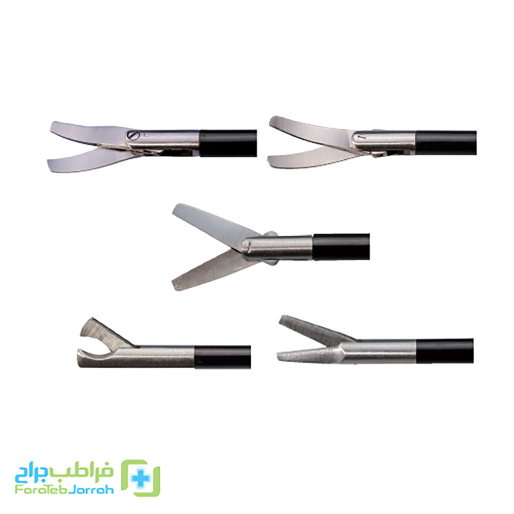 هندل (HANDLES)