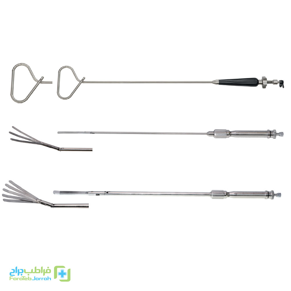 هندل (HANDLES)